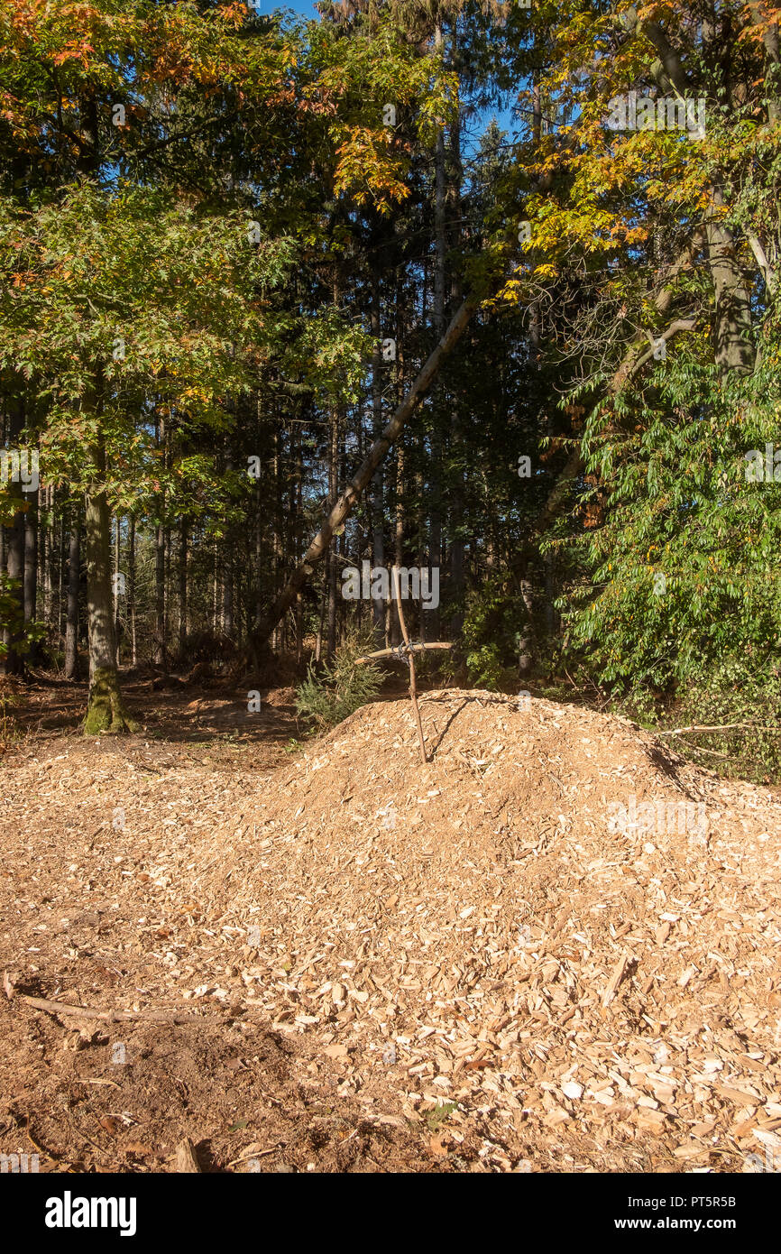 Alternative life, activism and non-violente environment demonstration against RWE`s lignite mines and destruction of Hambach forest, Germany. Stock Photo